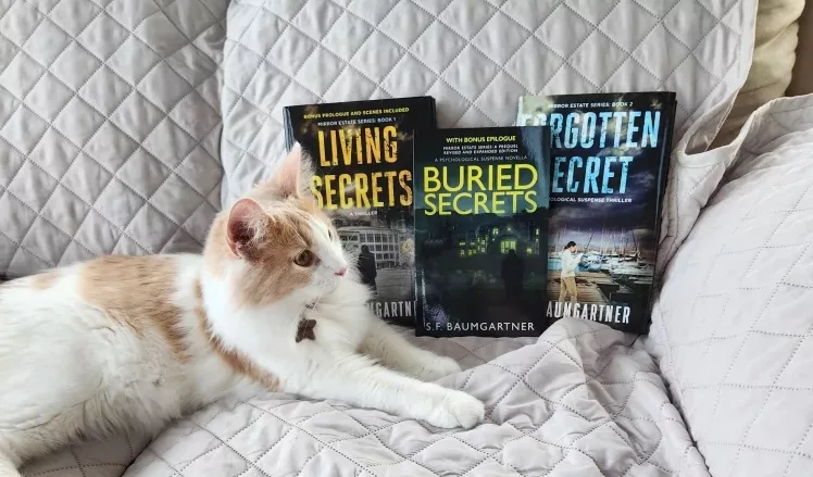 Why Cats and Bible Quotes?